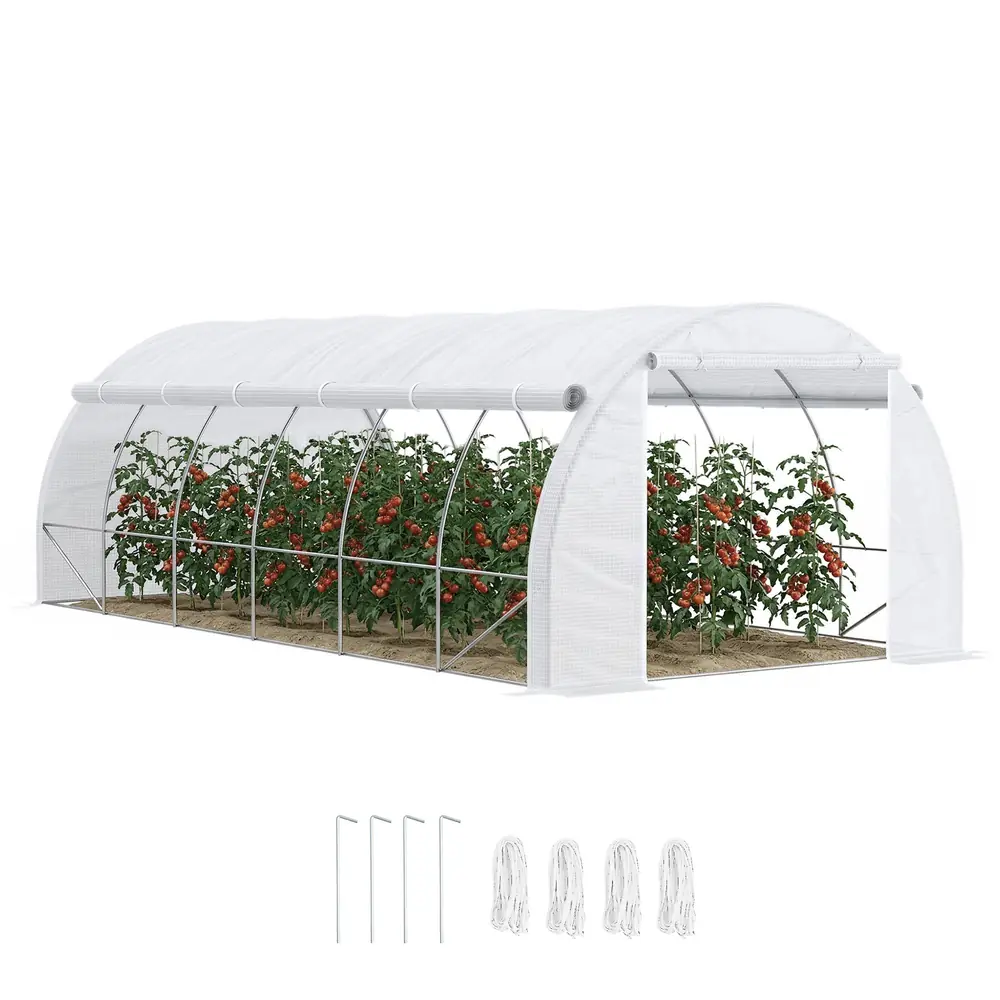 Serre de jardin 6 × 3 × 2 m, acier