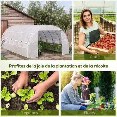 Serre de jardin 6 × 3 × 2 m, acier, vue 5