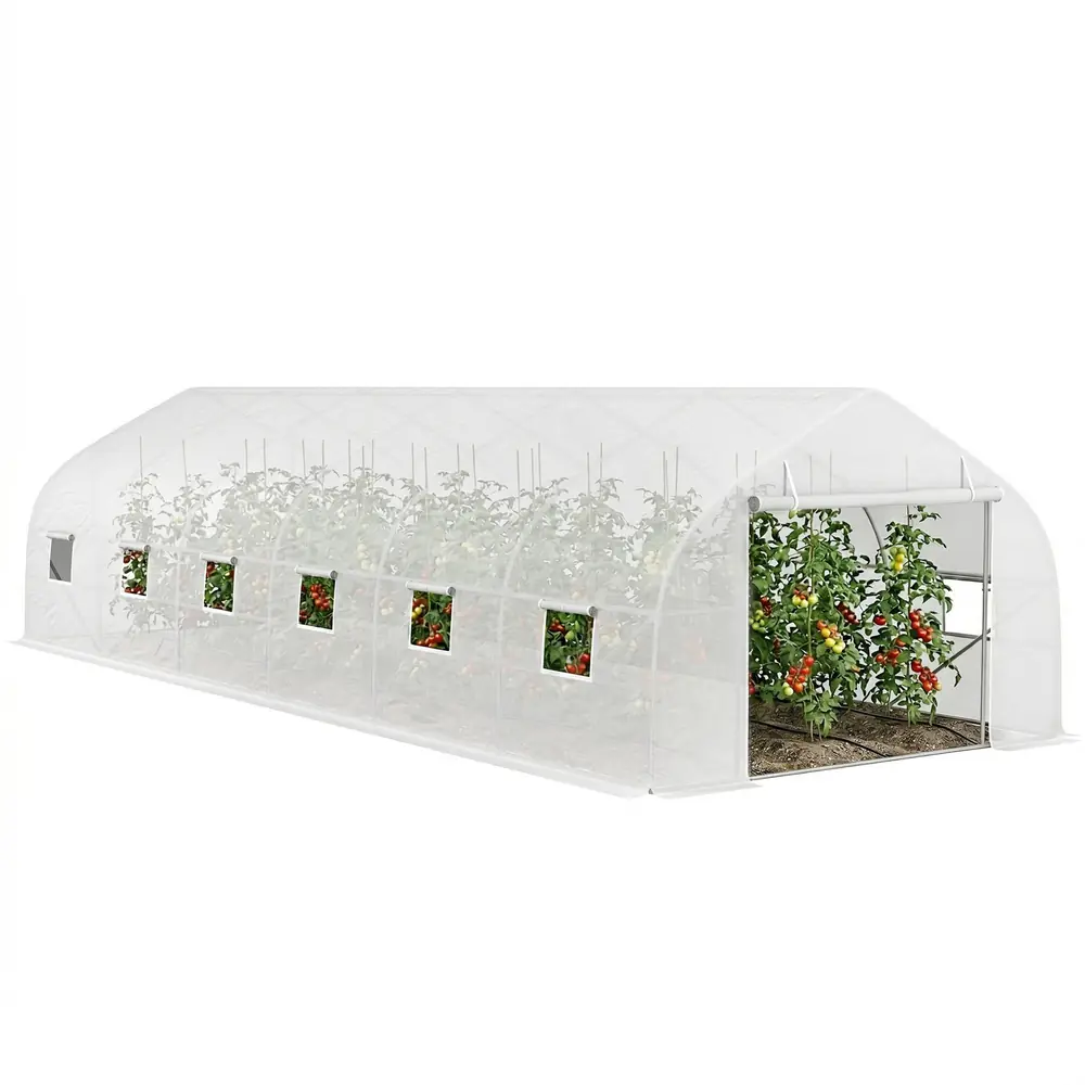 Serre tunnel 8 × 3 × 2 m, acier