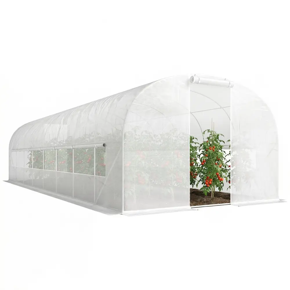 Serre tunnel 24 m², acier galvanisé