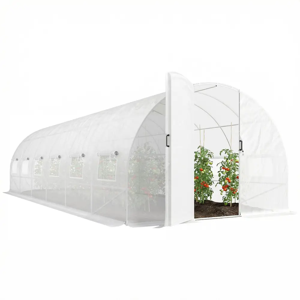 Serre tunnel 3 × 8 m, acier